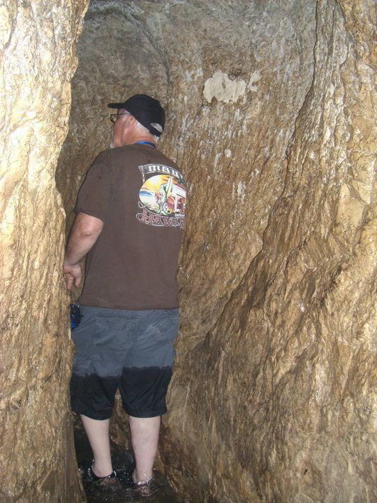 Steve photo 18
